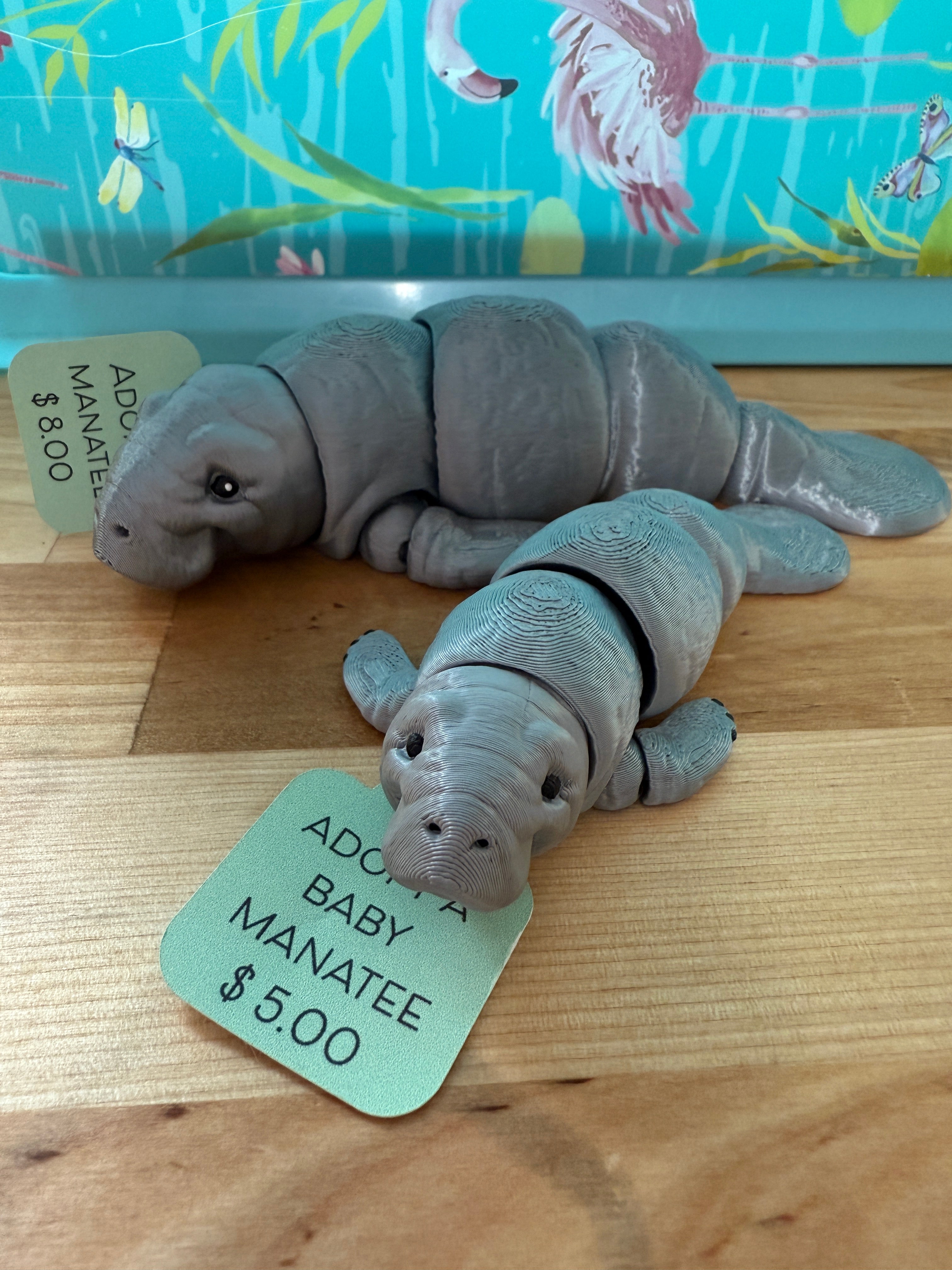 Adopt A Baby Manatee